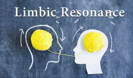 Come utilizzare la risonanza limbica nella consulenza e terapia relazionale