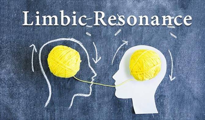 How to Use Limbic Resonance in Relationship Counseling and Therapy