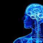 Руководство по нейротерапии для улучшения здоровья мозга