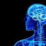 A Guide to Neurotherapy Treatment for Better Brain Health