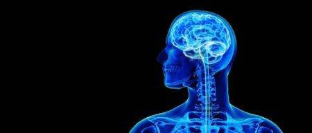 Una guida al trattamento neuroterapico per una migliore salute del cervello