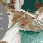 What You Need To Know About Stem Cell Banking and Umbilical Cord Banking