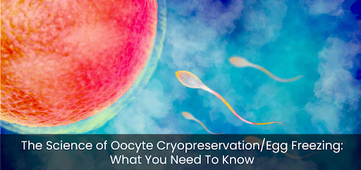The Science of Oocyte Cryopreservation/Egg Freezing: What You Need To Know