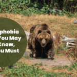 Zoophobia: 10 Facts That Will Make You Rethink Your Fear Of Animals