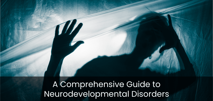 A Comprehensive Guide to Neurodevelopmental Disorders