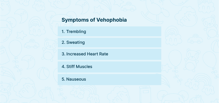 Symptoms of Vehophobia