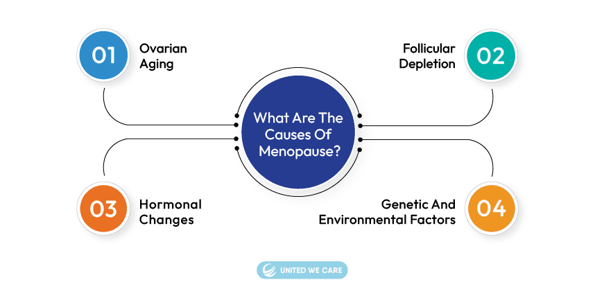 What are the Causes of Menopause?