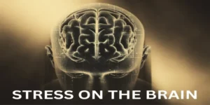 stress on the brain
