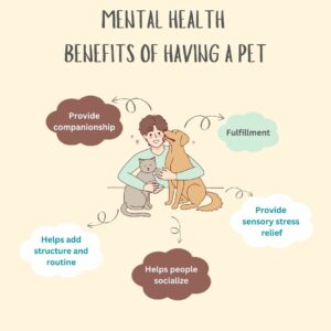 Pets offer love, comfort, and mental health benefits.