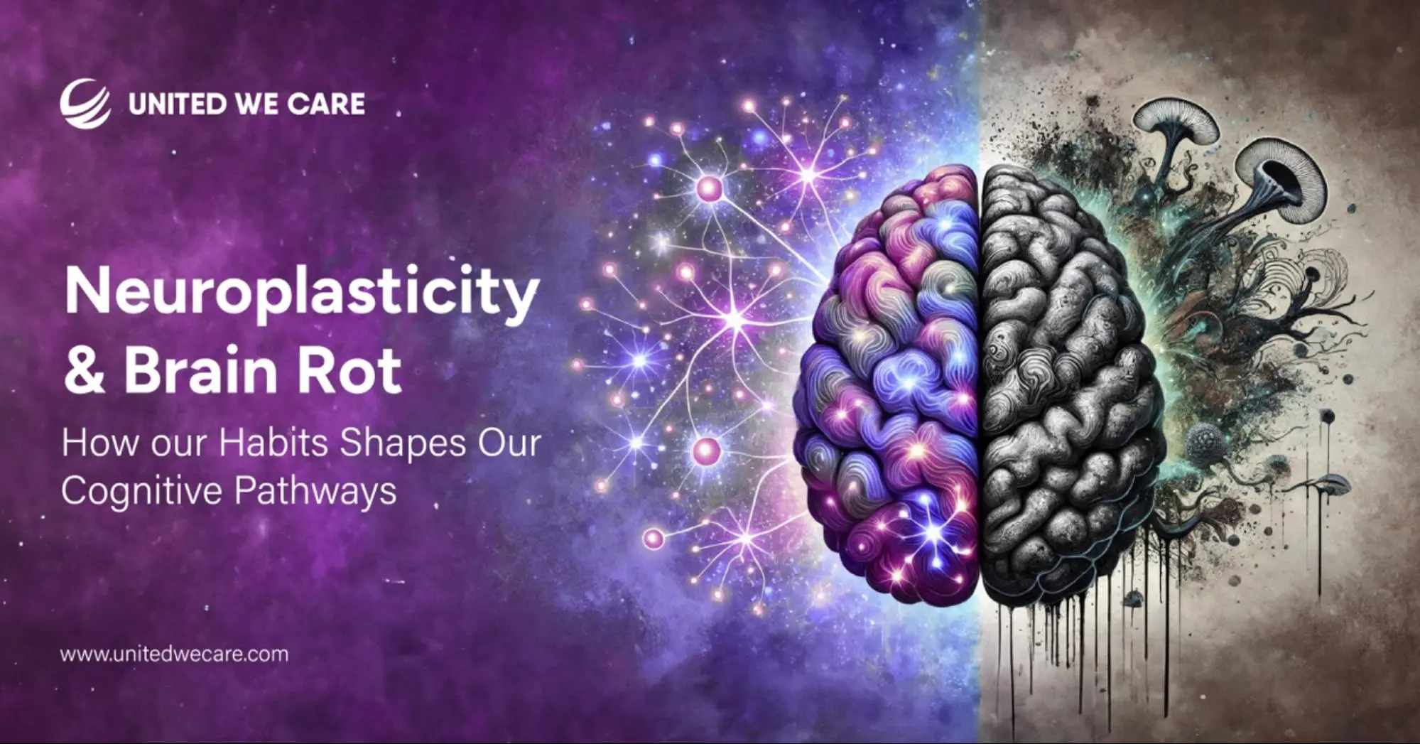 Neuroplasticity and Brain Rot How our Habits Shapes Our Cognitive Pathways
