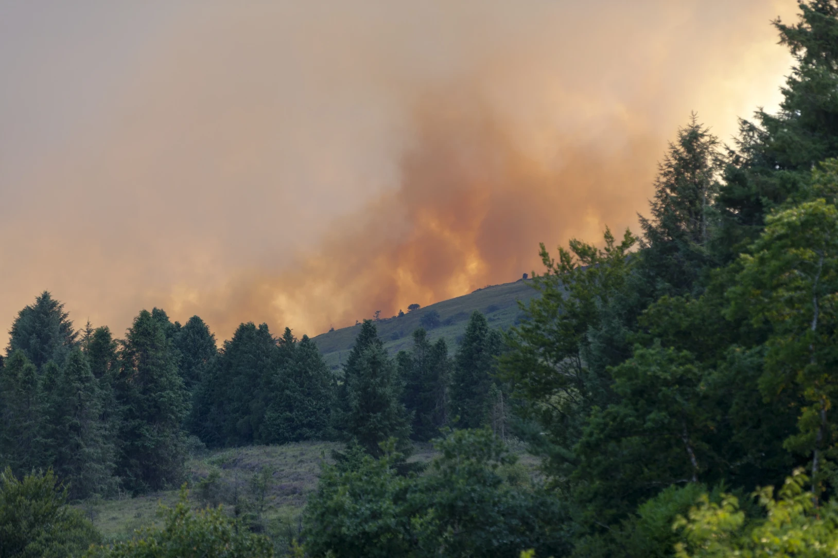 Rebuilding Resilience After the Eaton and Palisades Wildfires